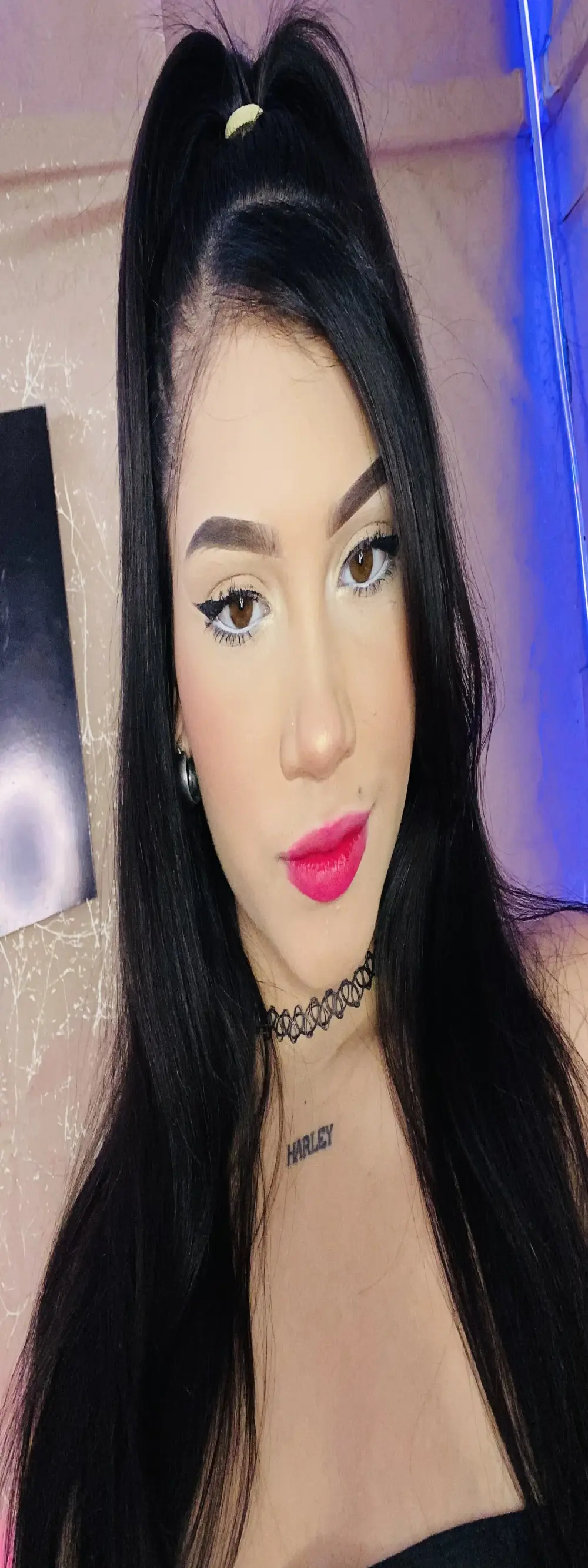 Cat_couplee69