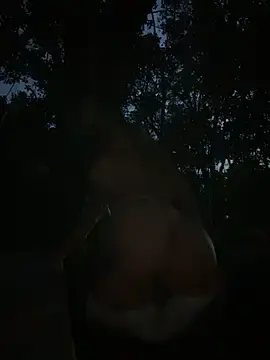 Stripchat Free Live Porn of Mydreams69