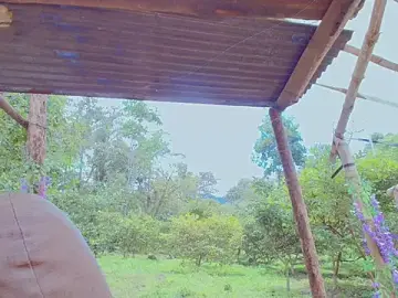 Stripchat Live Sex Cam of pretty_princesses