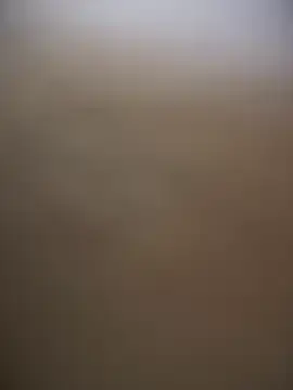 Stripchat Free Porn Cam of sammyqueenx21