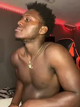 Stripchat Sex Cam of Festivitiesking1
