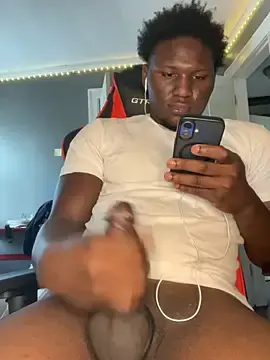 Stripchat Best Webcam of Festivitiesking1