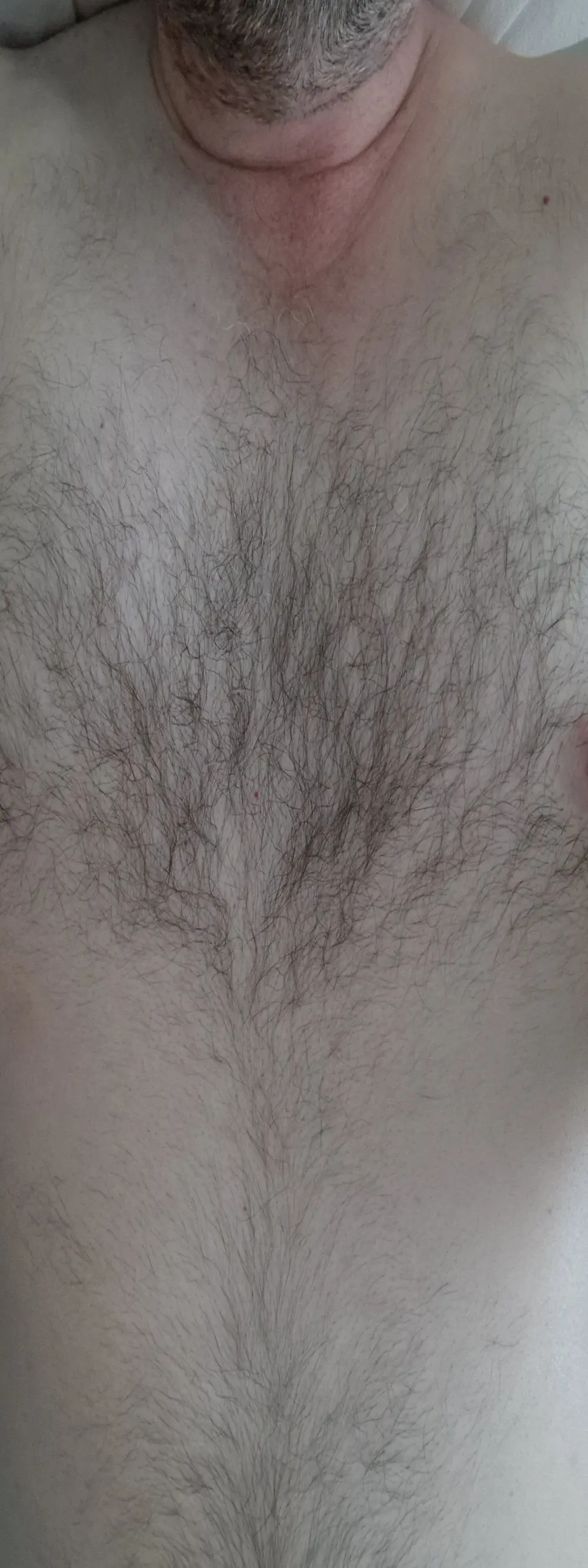 PigSlut-