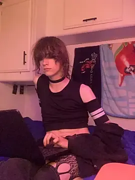 Stripchat Adult Webcams of Pink_Vixen