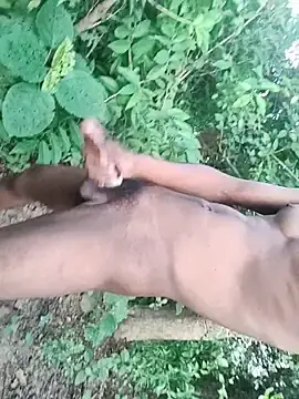 Stripchat Live Porn of lambakooli