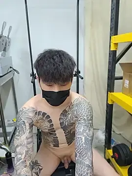 Stripchat Adult Webcam of kr_tory