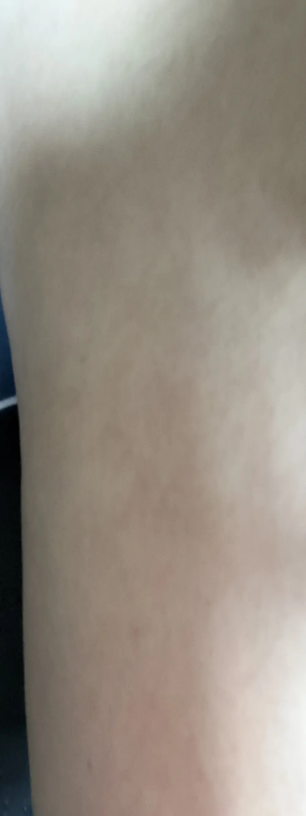 KoreanBottom03