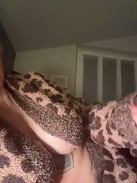 Stripchat Free Porn Cam of KiraRebyt