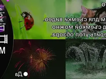 Stripchat Sex Cam of EllenReeves
