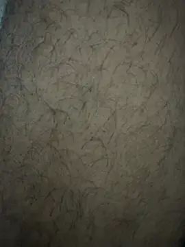 Stripchat Live Sex of BadPavi