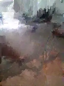 Stripchat Adult Webcam of BipedGlint
