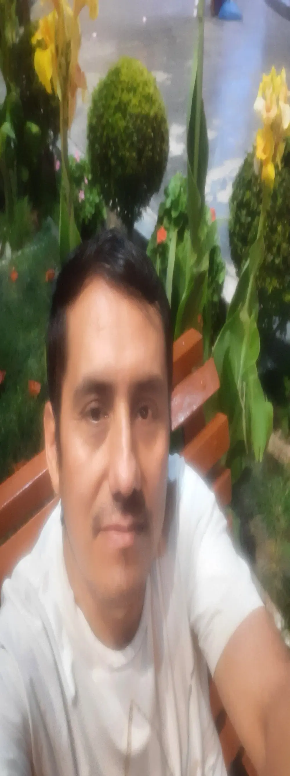 joanluperu