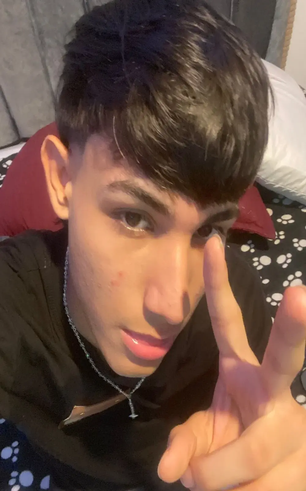 cody_fox10