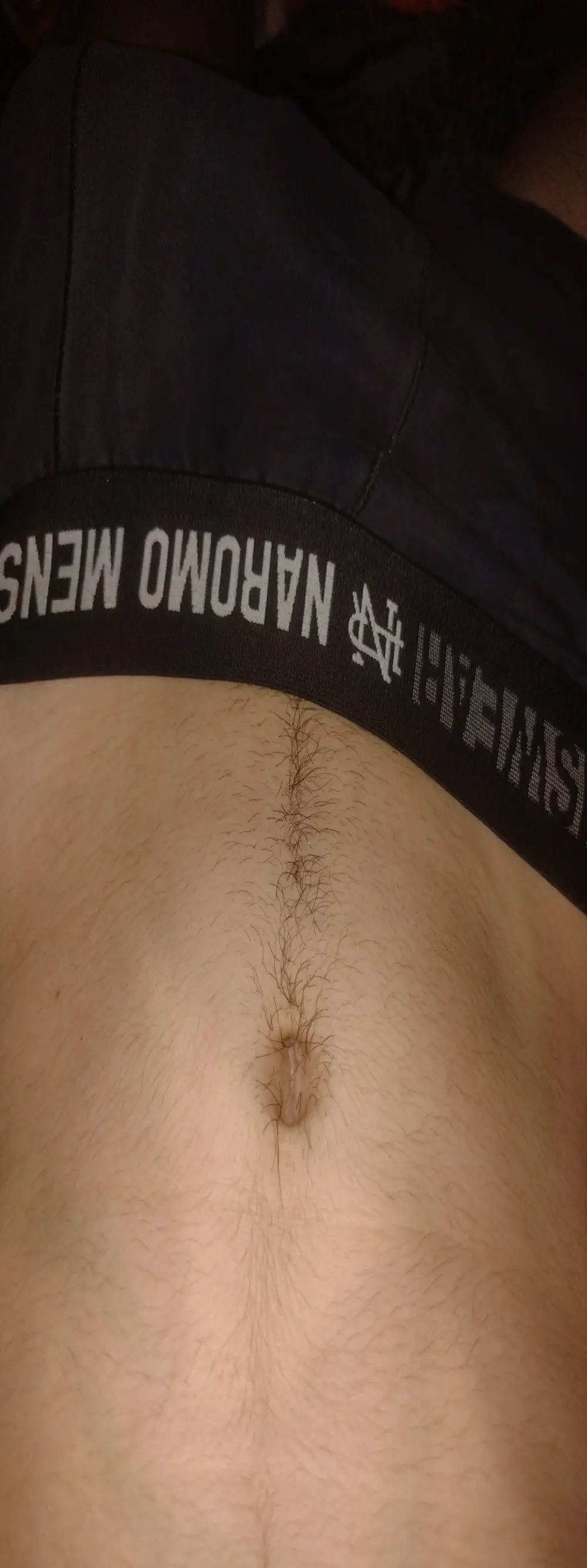 Max_novato