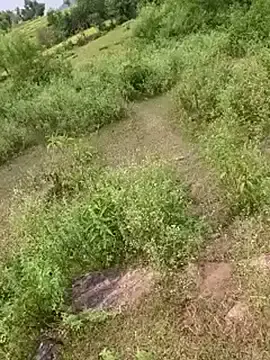 Stripchat Watch Live Sex Cams of YOURBHABI143