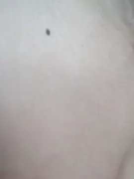 Stripchat Live Sex Cam of sanaya_baby