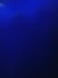 Stripchat Watch Live Sex Cams of LevelSalinity