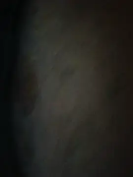 Stripchat Free Porn Cam of Trapx77301