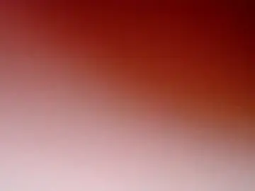 Stripchat Watch Live Sex Cams of Moertomlly
