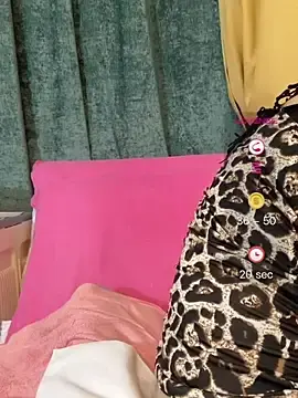 Stripchat Best Webcam of honghong666