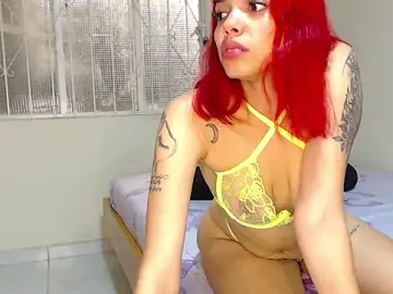 Stripchat Adult Webcam of dulce_petite69