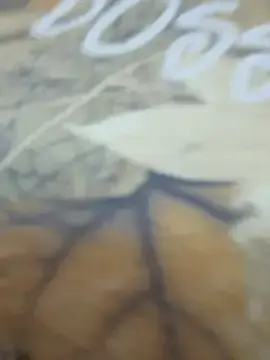 Stripchat Free Porn Cam of Dina_Tease