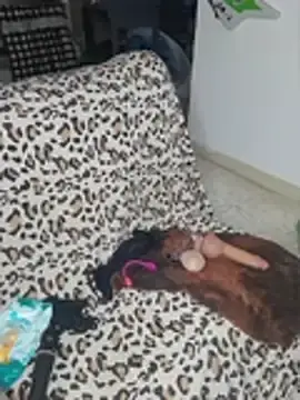 Stripchat Free Live Porn of Hollywoulld