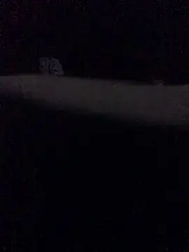 Stripchat Best Webcam of WhiteSteelDream