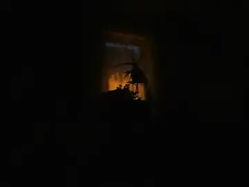 Stripchat Live Porn of Geiler668