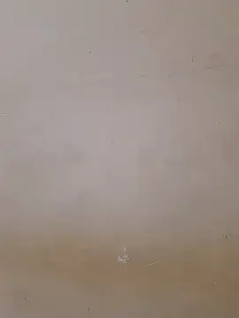 Stripchat Adult Webcam of sexy_shital