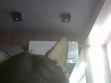 Stripchat Sex Chat of SkinnyKitten