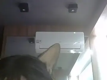 Stripchat Adult Webcam of SkinnyKitten