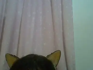 Stripchat Sex Chat of SkinnyKitten