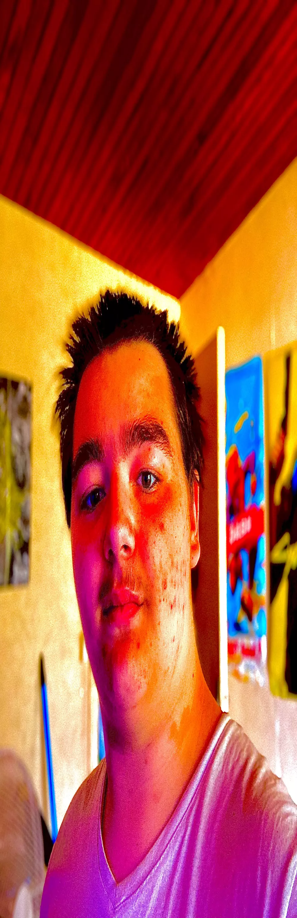 TheLittleFrenchBoy