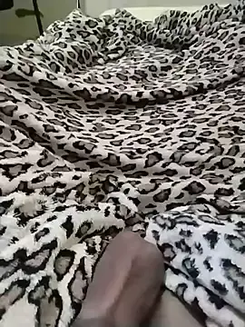 Stripchat Sex Chat of Novinhoie