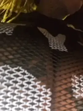 Stripchat Sex Chat of DarkDea