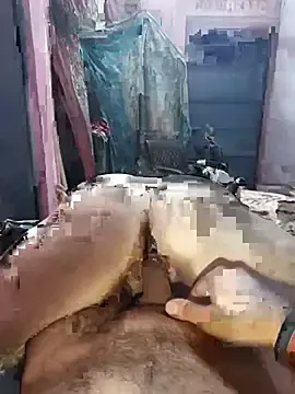 Stripchat Adult Webcam of divyacpl