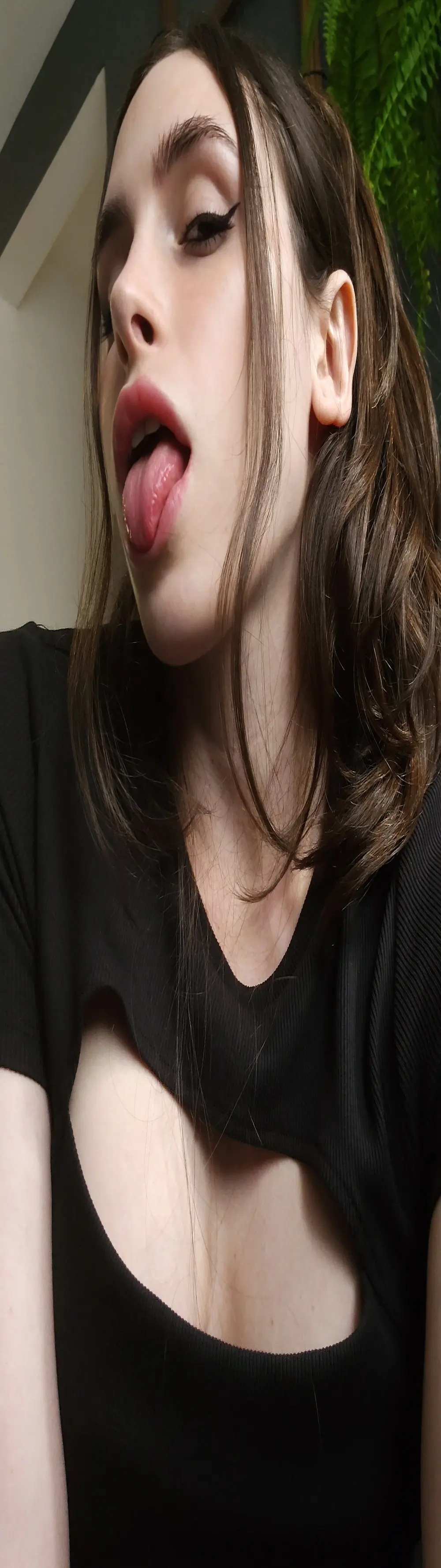 bunny_edge