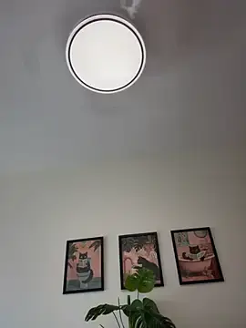 Stripchat Best live sex cam show of Adriennesexxx