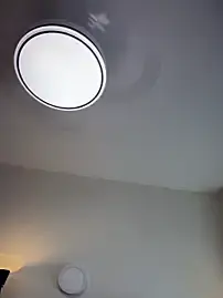 Stripchat Watch Live Sex Cams of Adriennesexxx