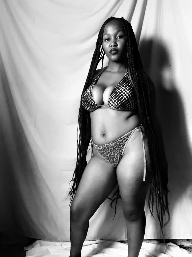 CreamyCurves