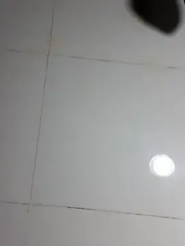 Stripchat Sex Cam of Nana-bar