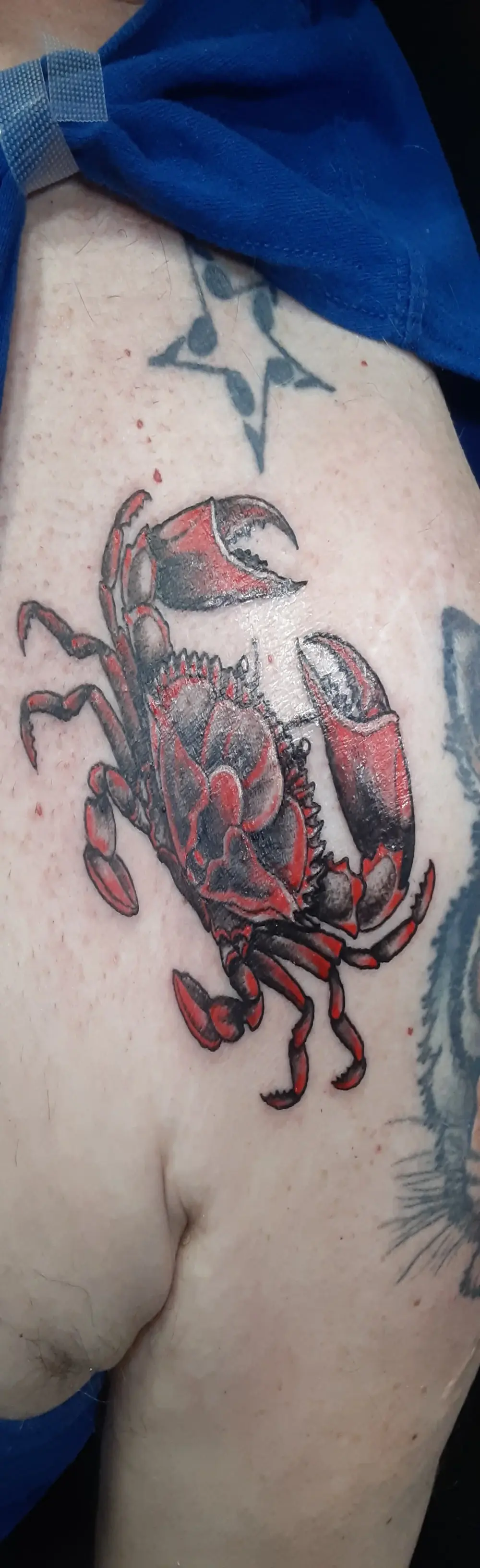 mms1316