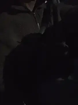 Stripchat Nude Webcam of Zeefy