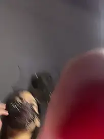 Stripchat Free Live Porn of fatisexy