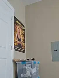 Stripchat Best Webcam of AmethystFoxx
