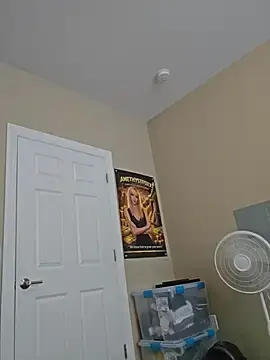 Stripchat Adult Webcam of AmethystFoxx
