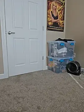 Stripchat Sex Chat of AmethystFoxx