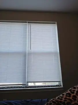Stripchat Adult Webcam of AmethystFoxx