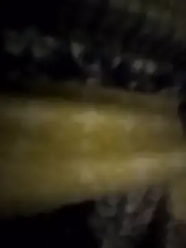 Stripchat Nude Webcam of jossehh